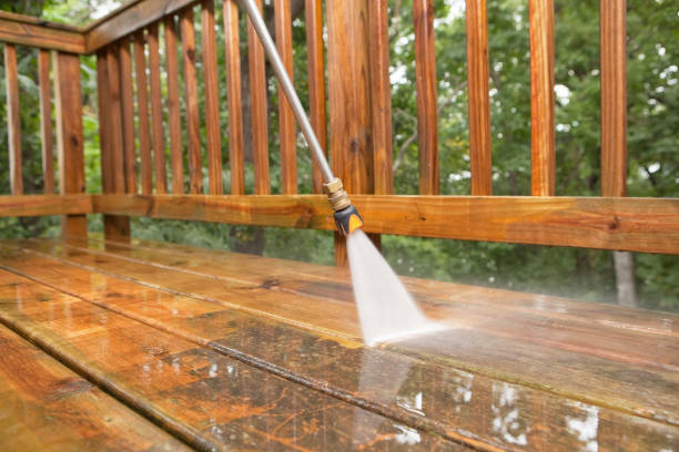 Best Residential Pressure Washing Services  in Carbon Hill, AL